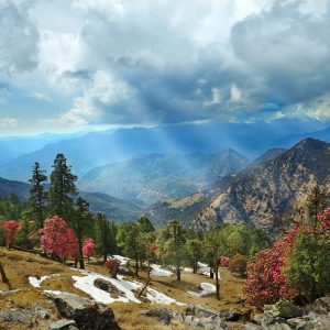Nag Tibba Trek